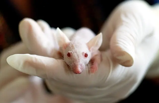 10 Défis à Relever pour une Découverte Scientifique Réussie