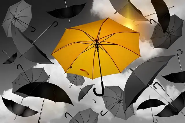 Défis et Découvertes : Les Stratégies de Résilience à Adopter