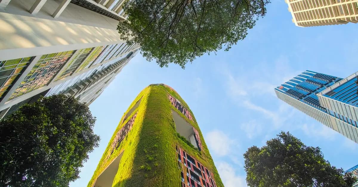 Défis et Découvertes : Comprendre l'Innovation Durable