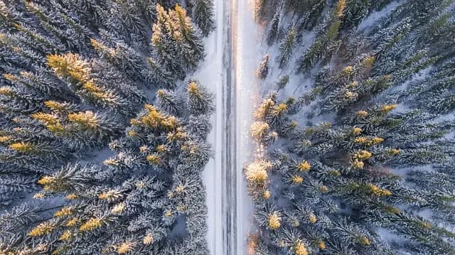 Les Défis du Réchauffement Climatique : Comment Agir Efficacement