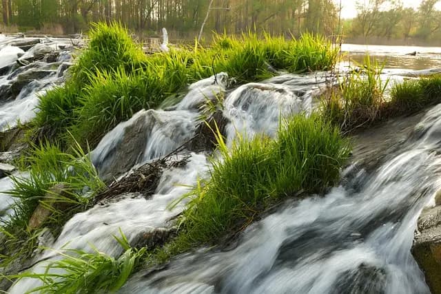 Les Défis Environnementaux Actuels et Comment Les Surmonter