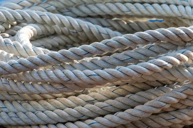 5 Défis Majeurs à Surmonter pour Innover Durable