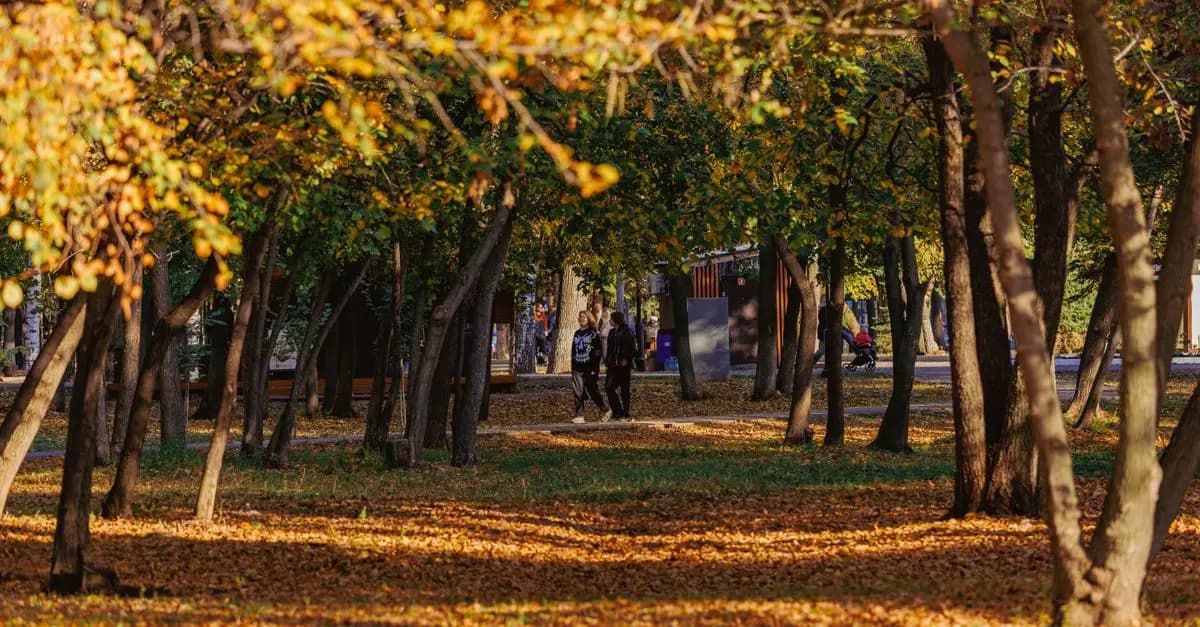 Les Défis et Opportunités de la Transition Écologique