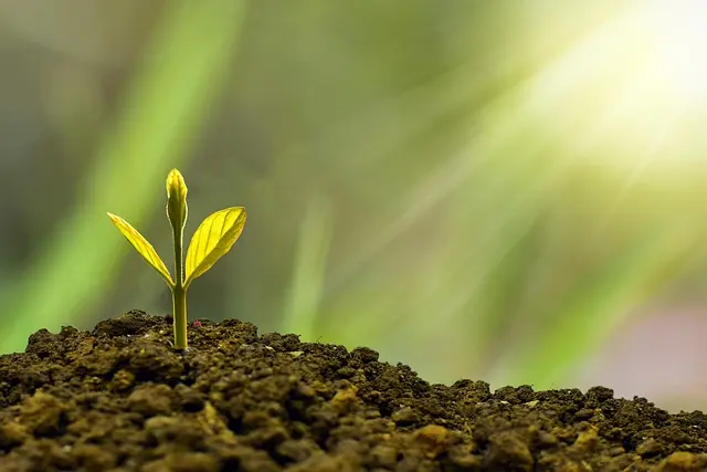 Comment surmonter les défis de l'innovation durable