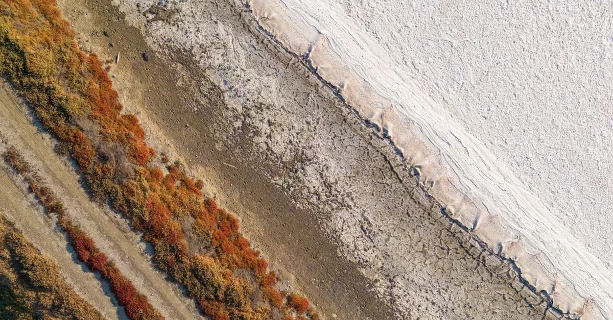Comprendre les Défis Environnementaux Mondiaux