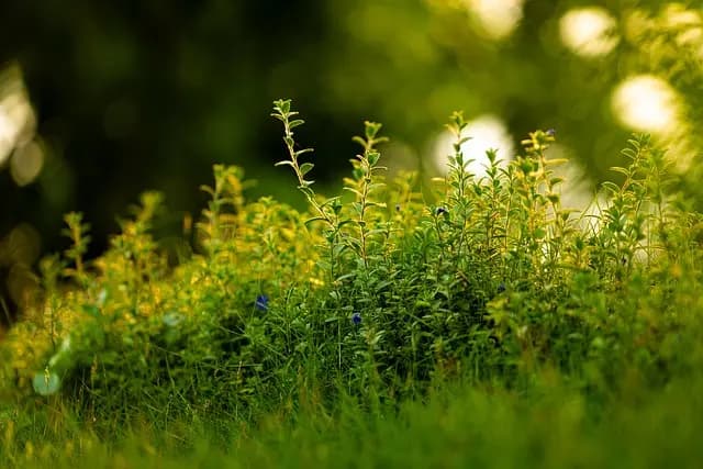 Défis et Découvertes : Le Pouvoir de la Résilience Face aux Changements