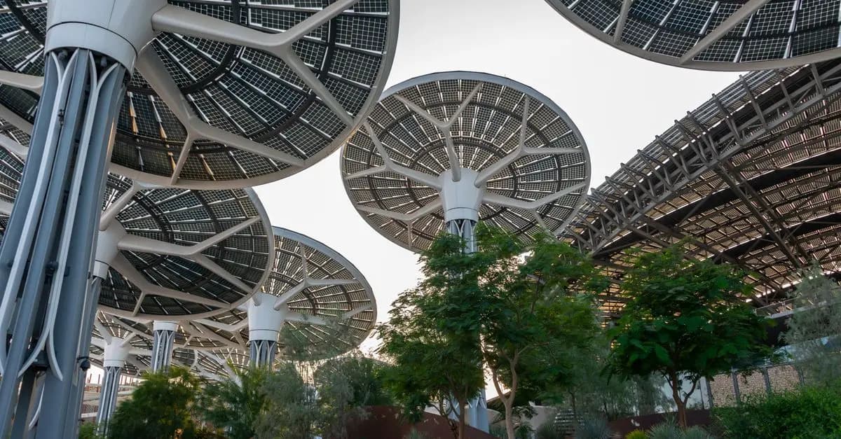 Défis et Découvertes : Les Clés de l'Innovation Écologique