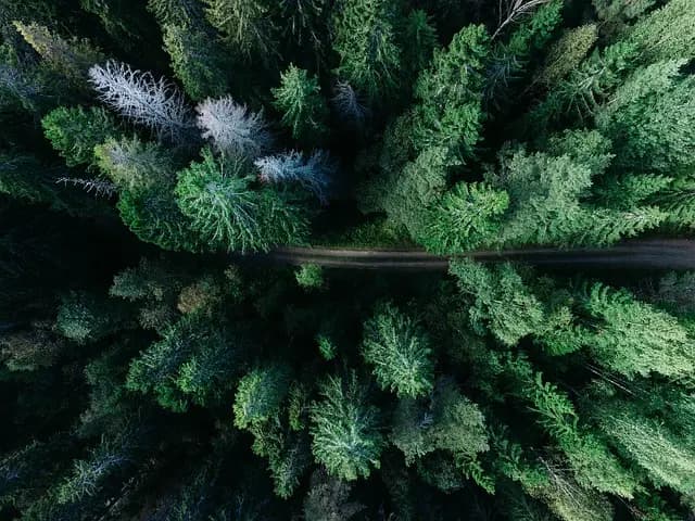 Les Défis Écologiques : Comment les Relayer avec Succès