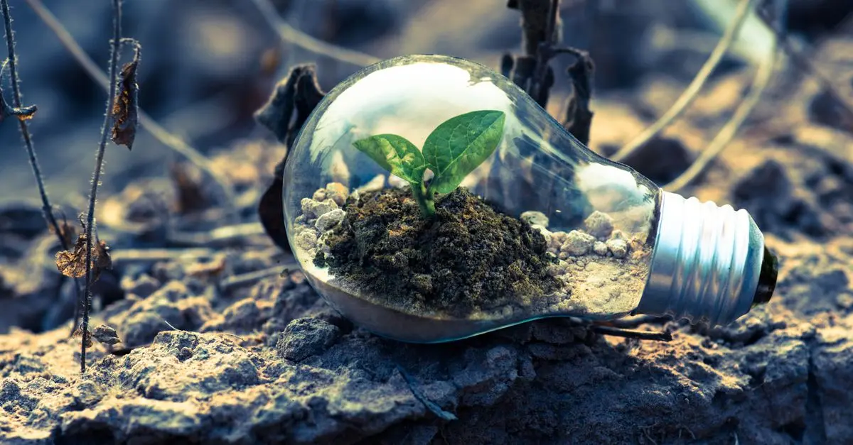 Comment Surmonter les Défis de l'Innovation Durable