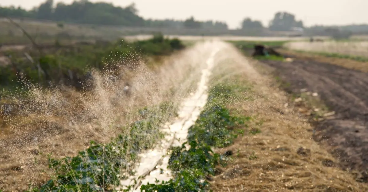Les Défis de la Gestion de l'Eau