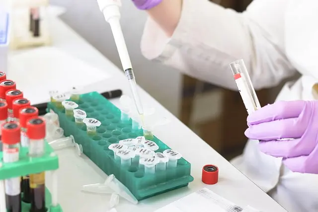 Comment Les Défis Sculptent Nos Découvertes Scientifiques