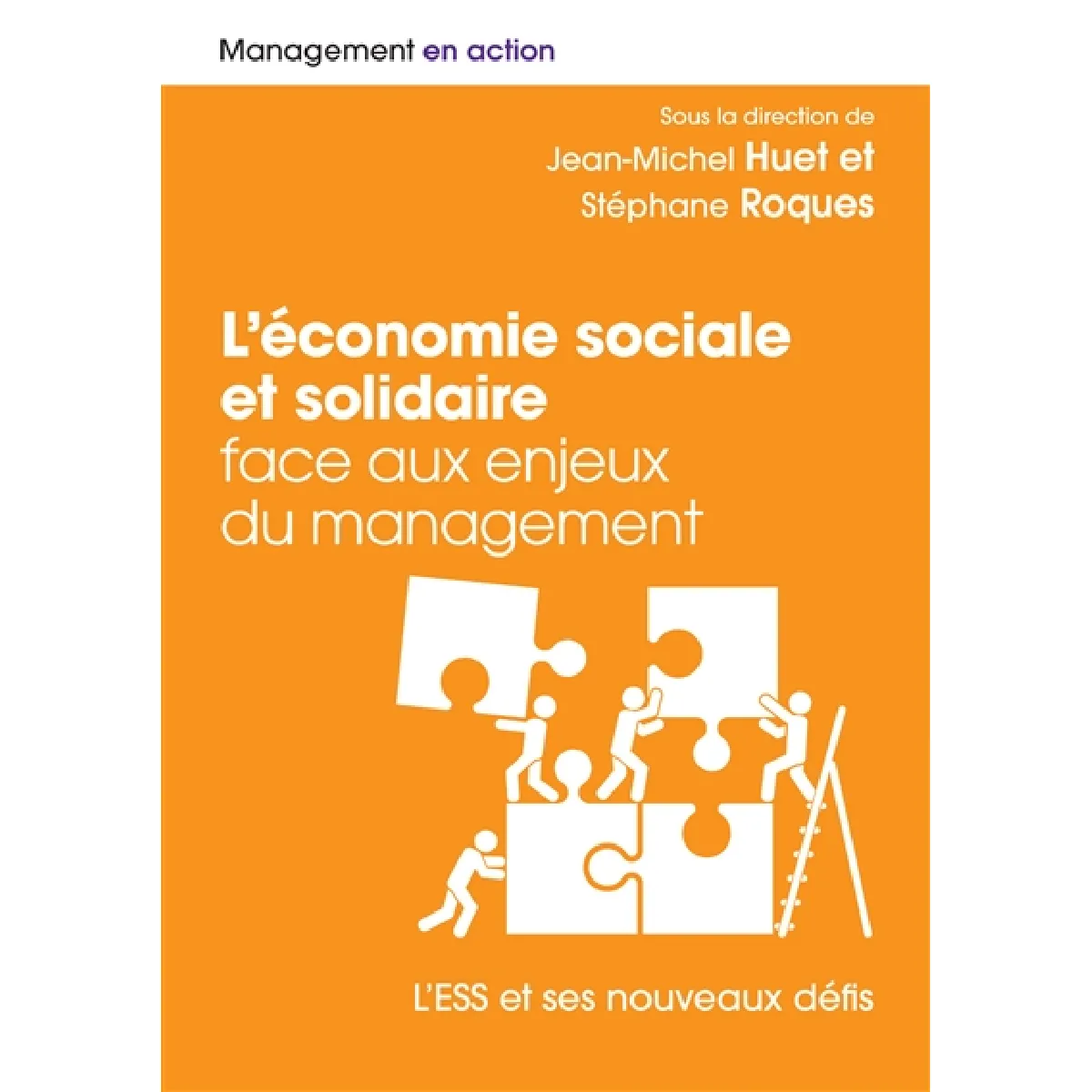 L'économie sociale et solidaire face aux enjeux du management : l'ESS et ses nouveaux défis