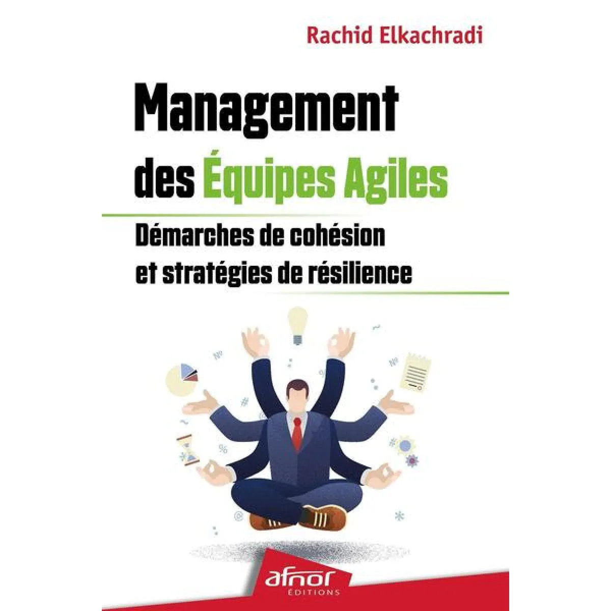 Management des équipes agiles : démarches de cohésion et stratégies de résilience