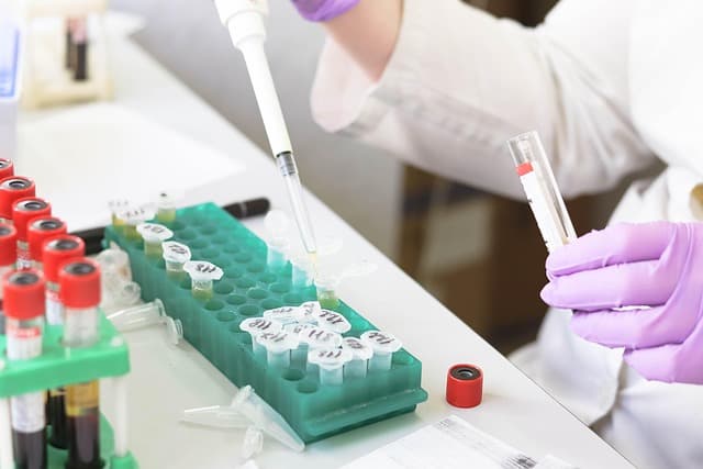 Comment Les Défis Façonnent nos Découvertes Scientifiques