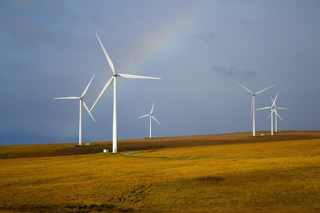 Défis de l'Innovation Durable : Quelles Stratégies Adopter ?