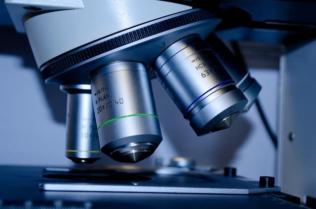 Les Défis de la Découverte Scientifique : Comment Innover ?